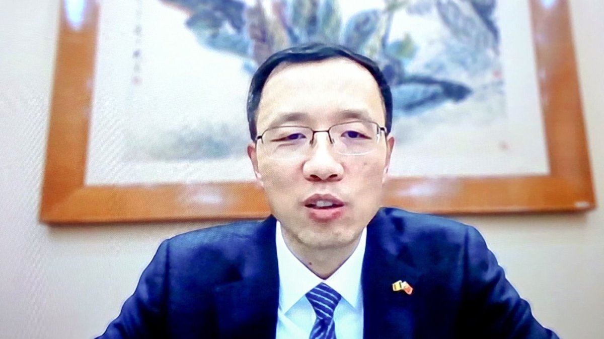Anul Nou Chinezesc al Calului de Foc a fost sarbatorit la Tulcea Anul Nou Chinezesc al Calului de Foc a fost sarbatorit la Tulcea