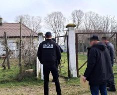 Descinderi de amploare la braconierii din Ialomița 