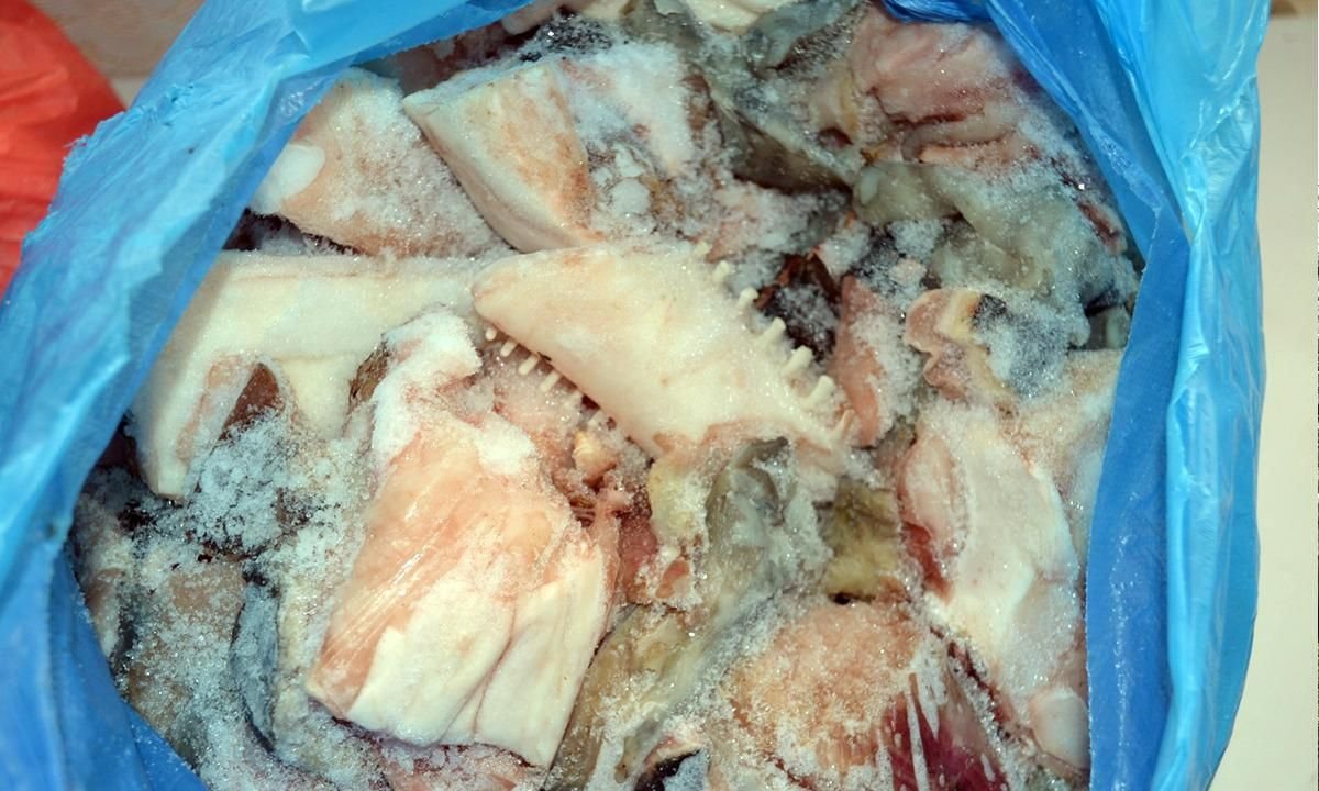 Descinderi de amploare la braconierii din Ialomita Descinderi de amploare la braconierii din Ialomita