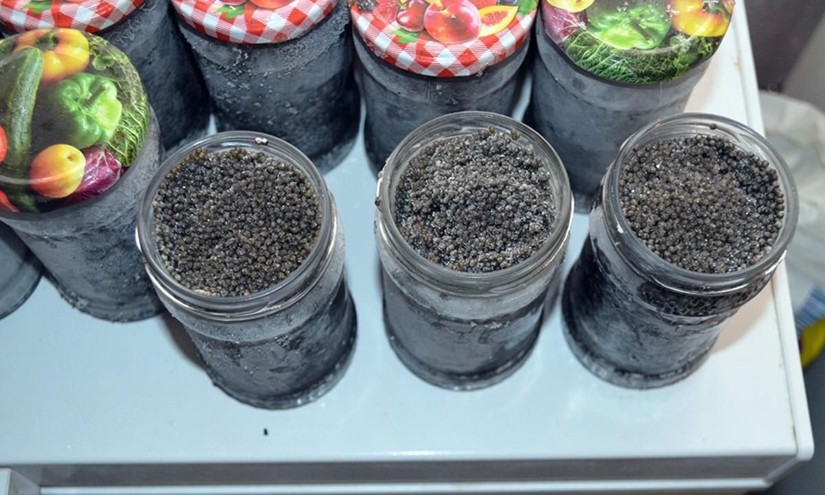 Descinderi de amploare la braconierii din Ialomita 