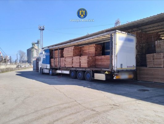 Descinderi la un depozit din Portul Constanța, într-un dosar cu transport de lemn ilegal