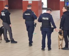 Polițiștii constănțeni au desfășurat razii în trenuri și gări