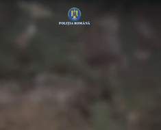 Mai multe resturi de animale au fost găsite abandonate, la ieșirea din localitatea Culmea. Video