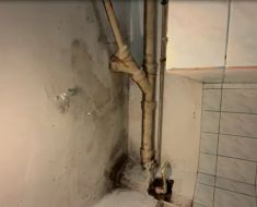 Condiții de toată jena în căminul Uniunii Județene a Cooperației de Consum Constanța! Video