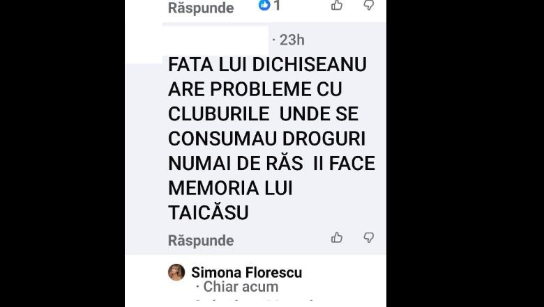 Fosta sotie a lui Ion Dichiseanu a rabufnit, dupa acuzatiile grave aduse fiicei sale