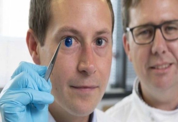 Cercetătorii spanioli dezvoltă o cornee artificială, ieftină, din solzi de peşte