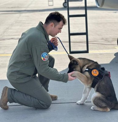 Tragedie la Baza Aeriană Borcea! Un pilot a murit înecat în timp ce încerca să salveze un câine căzut într-un bazin cu apă