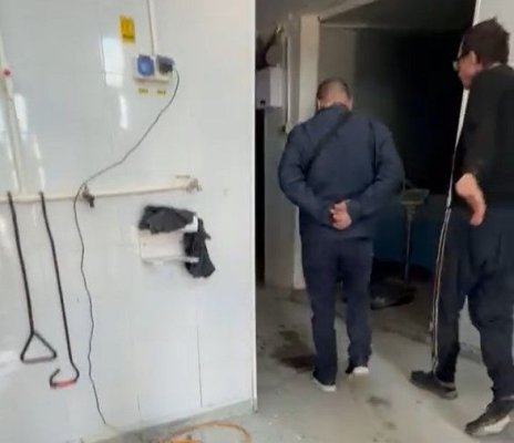 Un depozit de procesare a peștelui a fost închis de inspectorii OPC. Video