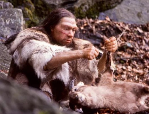 Neanderthalienii foloseau smoală ca antibiotic pentru a preveni infecțiile