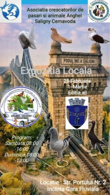 Primăria Cernavodă, invitație la expoziția locală de păsări și animale