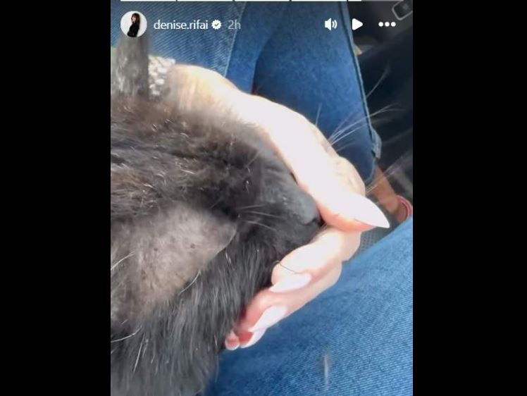 Cine este stefan, partenerul secret al lui Denise Rifai! Primele imagini