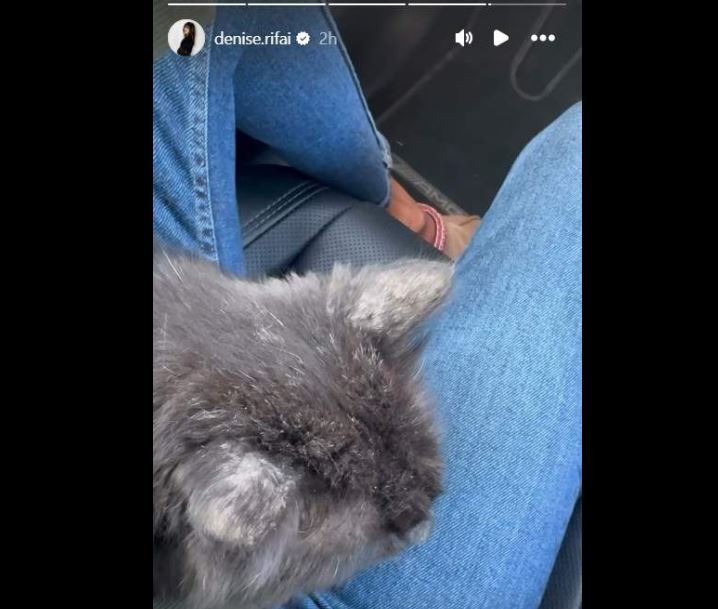 Cine este stefan, partenerul secret al lui Denise Rifai! Primele imagini