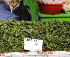 Urzicile au ajuns mai scumpe decât carnea de porc. Cu cât le vând comercianții