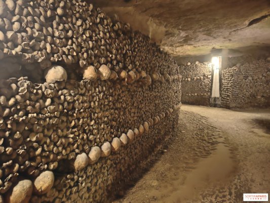 Catacombele Parisului, faimoase în lumea întreagă, au fost redeschise