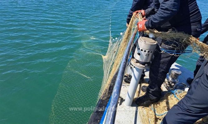 Polițiștii de frontieră au salvat șase sturioni, cinci delfini și un rechin prinși în plase ilegale, la Marea Neagră. Video