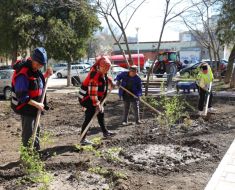 Lucrări de modernizare, reabilitare și plantări de arbuști ornamentali, pe aleea Hortensiei