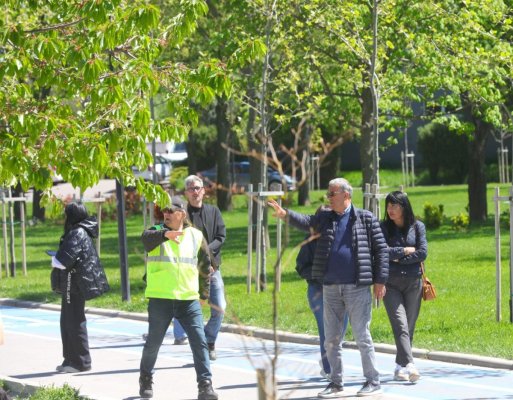 Spațiile verzi din Parcul Tăbăcărie, pregătite pentru plantare!