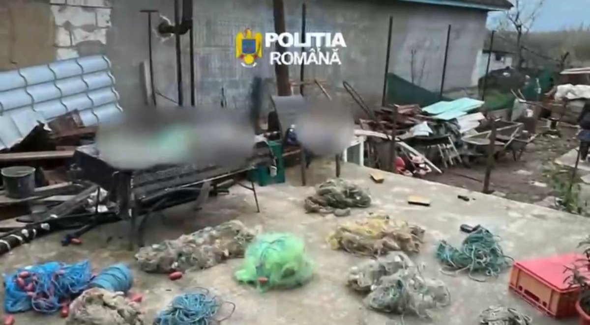 Oficial, de la Parchet despre perchezitiile care au avut loc la Harsova in dosarul de braconaj! Video Oficial, de la Parchet despre perchezitiile care au avut loc la Harsova in dosarul de braconaj! Video