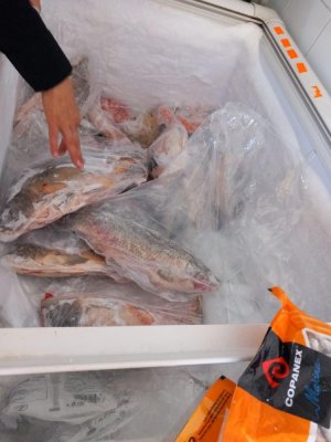 Amenzi de peste 4 milioane de lei la mai mulți comercianți de pește. Inspectorii ANPC au descoperit marfă alterată