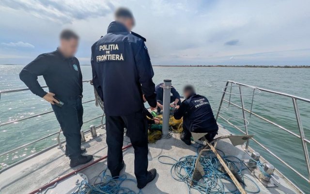 Polițiștii de frontieră au salvat 17 sturioni prinși în plase ilegale pe Marea Neagră. Video