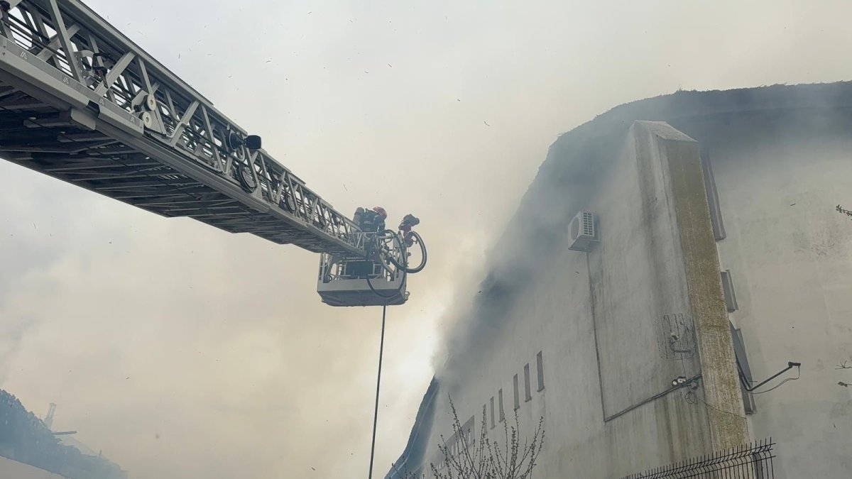 Incendiu puternic, la o pensiune din Tulcea. Flacarile s-au extins la un imobil vecin. Video