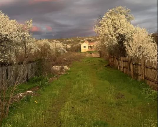 Cum arata casa de langa cimitir a Adelei Popescu? Radu Valcan a fost pus serios la treaba