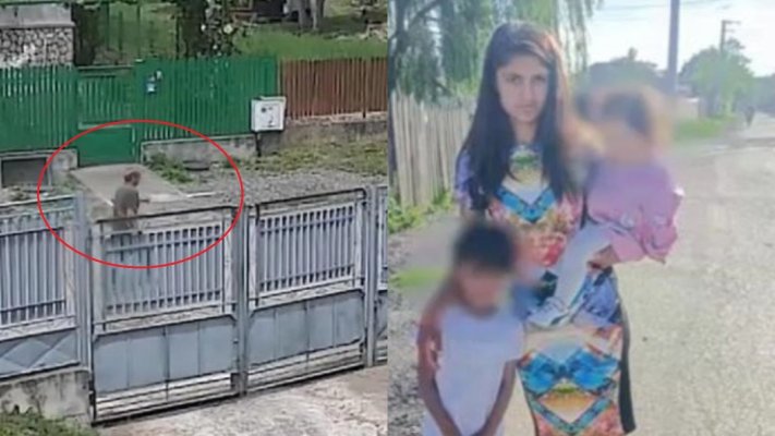 Închisoare pe viaţă pentru bărbatul din Prahova care şi-a ucis cu toporul partenera însărcinată