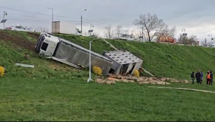 Un camion cu animale s-a răsturnat la Năvodari. 160 de oi au murit!