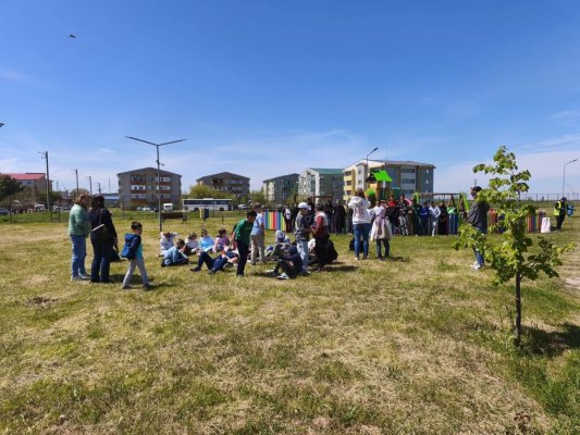 Primăria Hârșova, acțiune de plantare a 80 de puieți de stejar