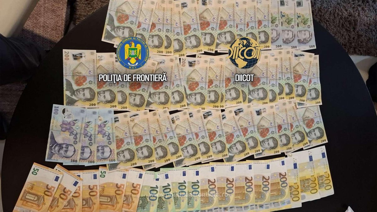 Culturi in-door de canabis descoperite de politistii de frontiera. O persoana a fost arestata Culturi in-door de canabis descoperite de politistii de frontiera. O persoana a fost arestata