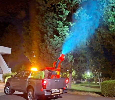 Acțiunile de dezinsecție au fost reluate în municipiul Constanța și în stațiunea Mamaia 