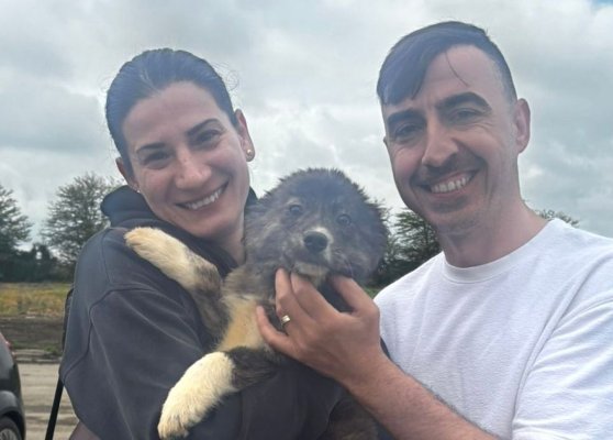 Campania „Adoptă un cățel” continuă! Un nou început pentru un pui salvat de pe străzile Constanței