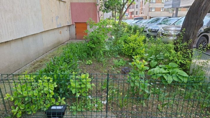 Atenție! Nu sustrageți stațiile utilizate în cadrul acțiunilor de deratizare!