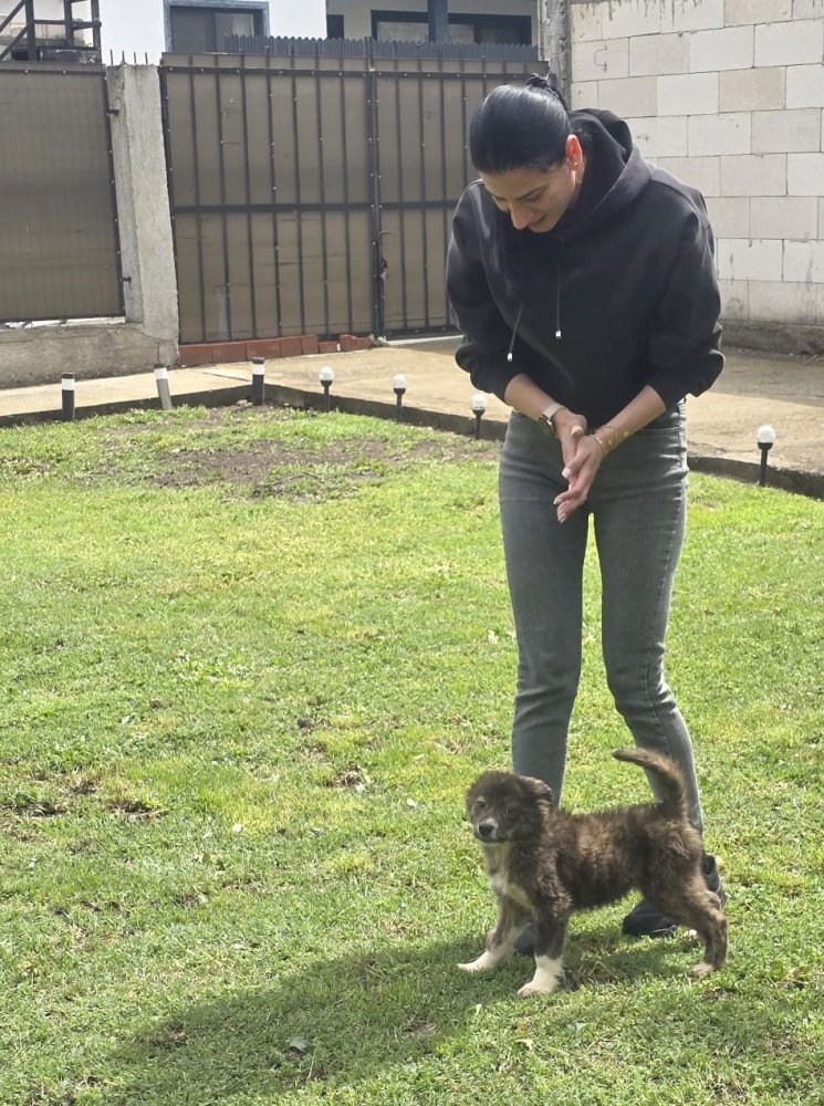 Campania &bdquo;Adopta un catel&rdquo; continua! Un nou inceput pentru un pui salvat de pe strazile Constantei