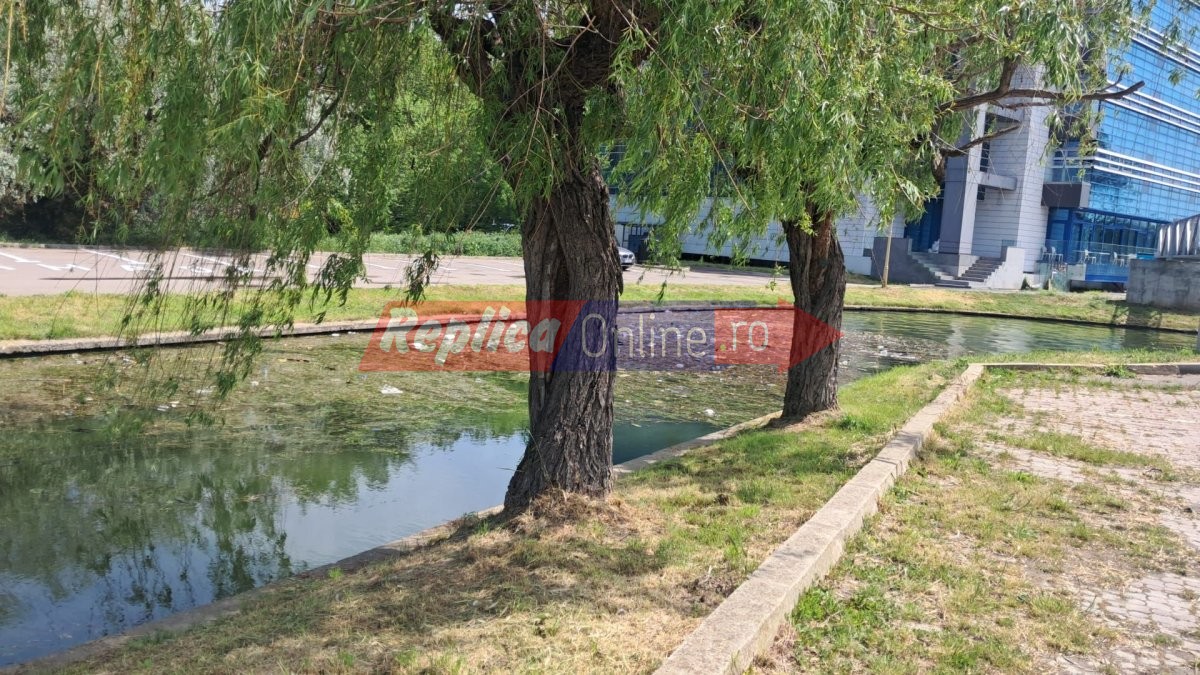 Poduletul rusinii din Satul de Vacanta: miros insuportabil si apa plina de gunoaie, la inceput de sezon estival. Video Poduletul rusinii din Satul de Vacanta: miros insuportabil si apa plina de gunoaie, la inceput de sezon estival. Video