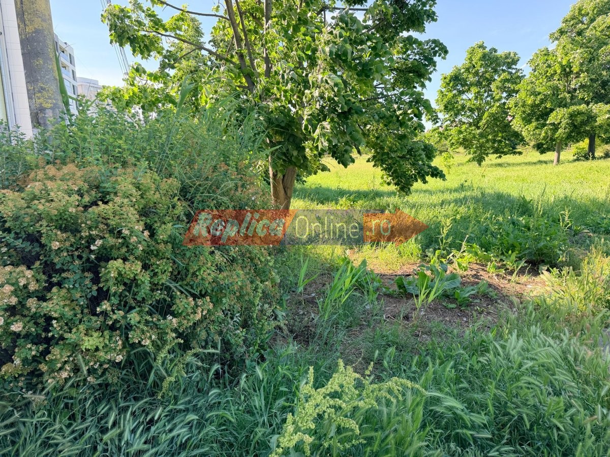 University Park, vis amanat. Parcul din fata Universitatii, intre promisiuni si nepasare. Video University Park, vis amanat. Parcul din fata Universitatii, intre promisiuni si nepasare. Video