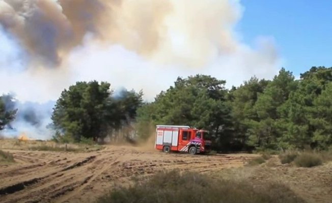 Incendii de pădure şi vegetaţie, în Ţările de Jos. Un aeroport a fost evacuat