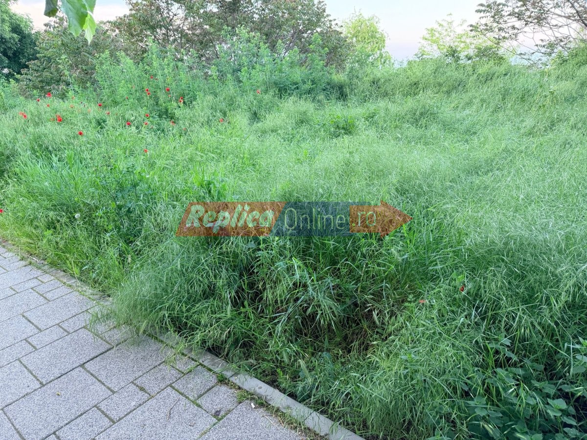 Promenada cu vedere la mare sau... la balarii?  Vezi cum a ajuns spatiul verde de pe strada Mihai Eminescu! Video