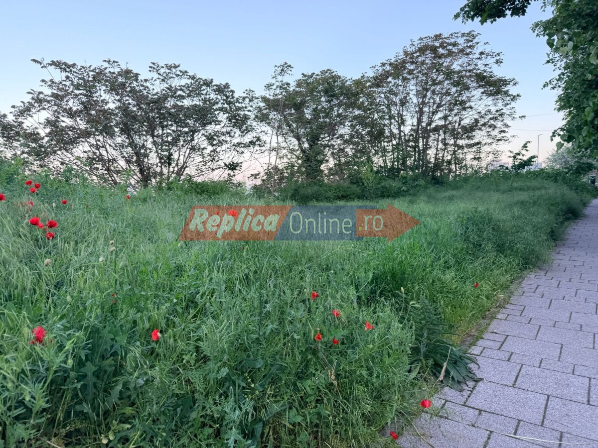 Promenada cu vedere la mare sau... la balarii?  Vezi cum a ajuns spatiul verde de pe strada Mihai Eminescu! Video