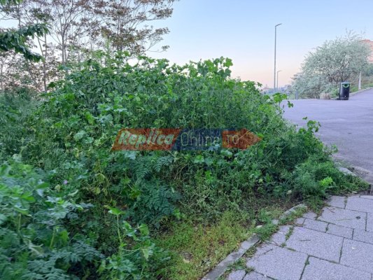 Promenadă cu vedere la mare sau... la bălării?  Vezi cum a ajuns spațiul verde de pe strada Mihai Eminescu! Video