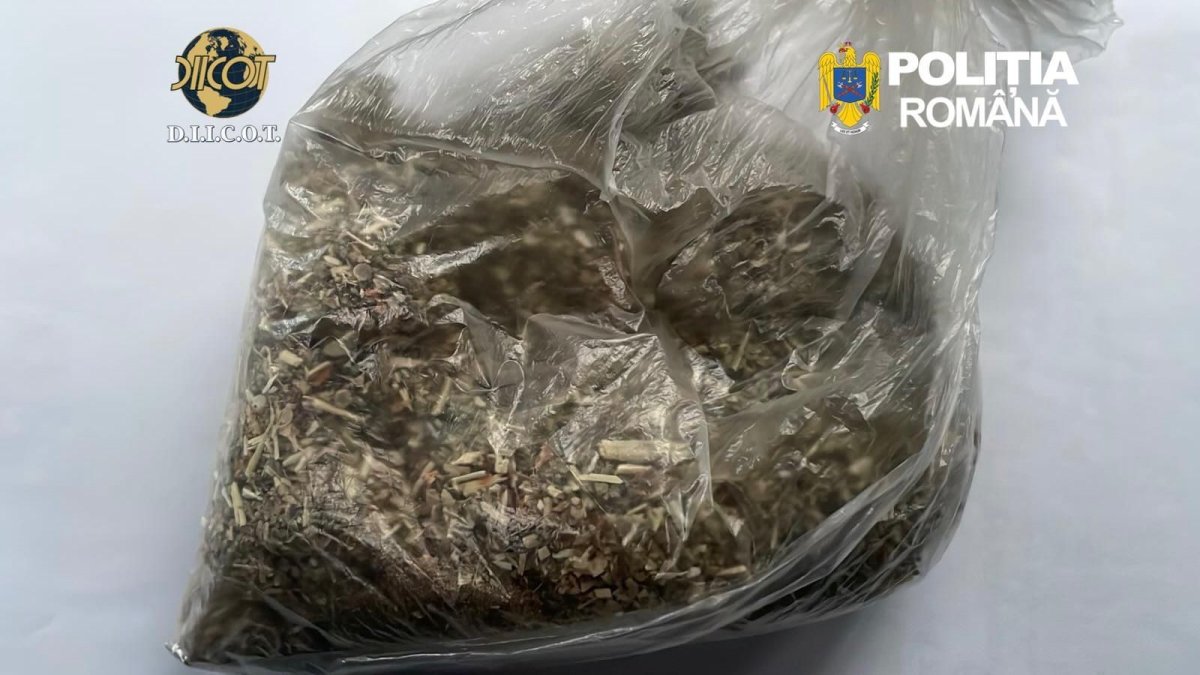 Trei barbati din Constanta sunt cercetati pentru trafic de droguri de mare risc