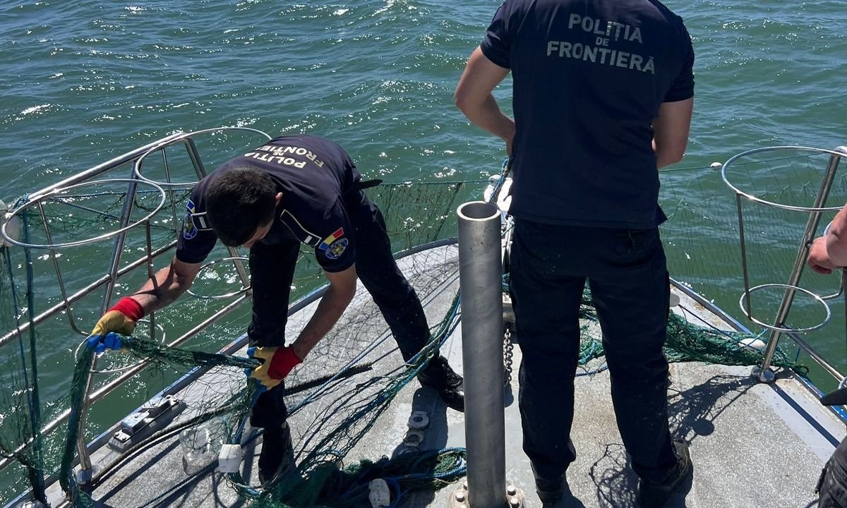 Politistii de frontiera au salvat patru sturioni prinsi in plase ilegale, in Marea Neagra. Video