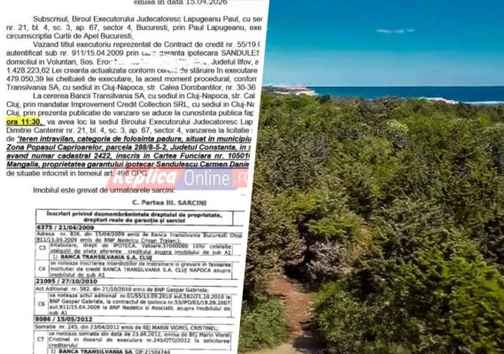 Fondatoarea companiei Impact rămâne fără 3,76 hectare de teren din Pădurea Comorova