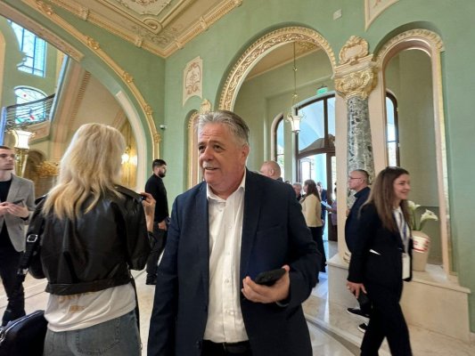 Curtea de Conturi a luat la puricat moșia lui Iliescu, de la Universitatea Ovidius Constanța, în urma unor sesizări!
