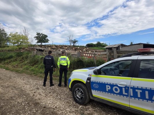 Verificări ale polițiștilor la crescătorii de animale 
