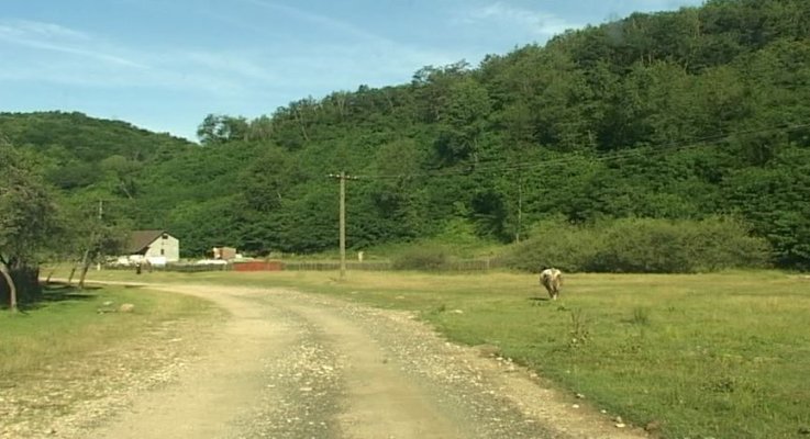 Romsilva anunţă recuperarea definitivă a peste 4.600 de hectare din pădurea Nadăş