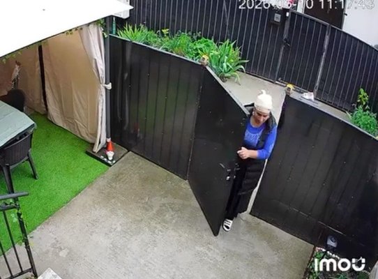 Care este noua metodă de reciclat peturi care face ravagii... de foame, la Năvodari! Video 