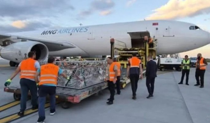 România intră pe piața premium: ovine exportate în Algeria cu avionul