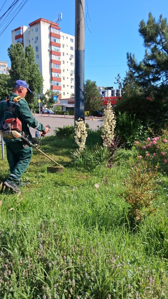 Continua lucrarile de intretinere a spatiilor verzi din municipiul Constanta
