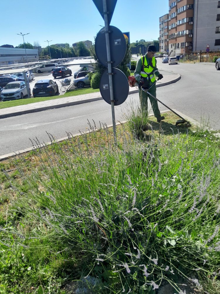 Continua lucrarile de intretinere a spatiilor verzi din municipiul Constanta